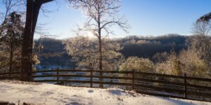 Outdoor winter scene